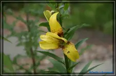 comp_DSC01680.webp