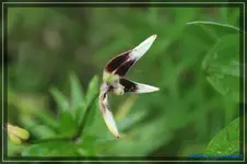 comp_DSC01682.webp
