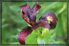 comp_DSC01684.webp