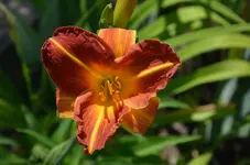 DSC_0001.webp