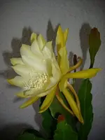 k-DSCI2646.webp