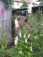 2014-06-15       Am Insektenhotel.webp