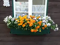 2014-06-15     Noch Dominanz!.webp