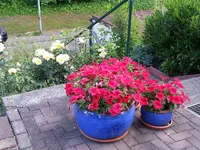 2014-06-15     Über der Himmelsleiter.webp