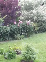 2014-06-15 Farbcreszento passé.webp