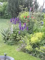 2014-06-15 Sommerfarben.webp