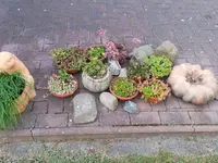 2014-06-15 Sonnenkinder.webp
