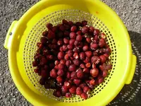 k-P1070970.webp