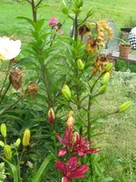 012_576x768.webp