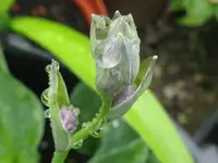 007_1024x768.webp