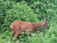 003_1024x768.webp