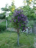 P1090441.webp