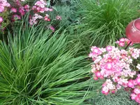SAM_4633.webp