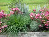 SAM_4634.webp