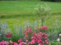 SAM_4627.webp