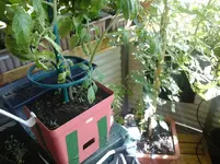 20140620_153049.webp