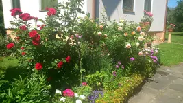 Vollansichten +Rosen 005.webp