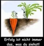 Hase.webp