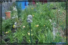 comp_DSC01698.webp