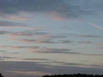 P1140235.webp