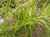 RIMG0092.webp