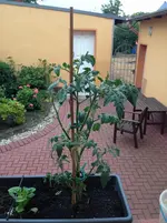 Foto 20.06.14 21 21 24.webp