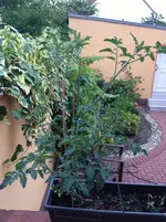 Foto 20.06.14 21 21 14.webp