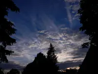 DSCN9146.webp