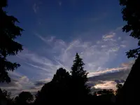DSCN9186.webp