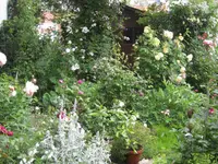 IMG_2900.webp