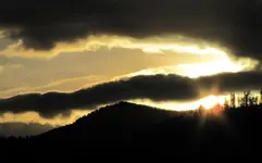 Copy of IMG_8161v.webp
