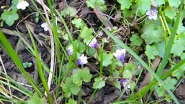 DSCN2781.webp