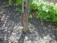 BILD0027.webp