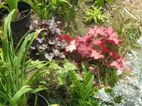 003_1024x768.webp