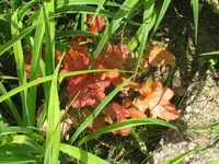004_1024x768.webp