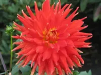 Bilda 0309.webp