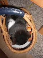 DSCN3371.webp