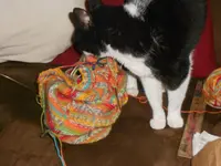 DSCN3374.webp