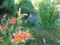 DSCN3381.webp