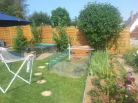 20140622_092652[1].webp