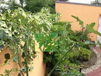 Foto 22.06.14 12 38 25.webp