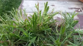 20140622_131237.webp