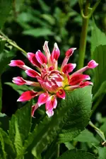 DSC_1942.webp