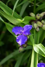 DSC_1944.webp