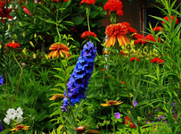 Hangbeet_blau_orange_rot_grün2_640.webp