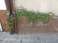 P1050788.webp