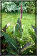 comp_DSC06914.webp