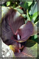 comp_DSC06957.webp