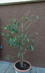 DSC02185.webp