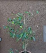 DSC02186.webp